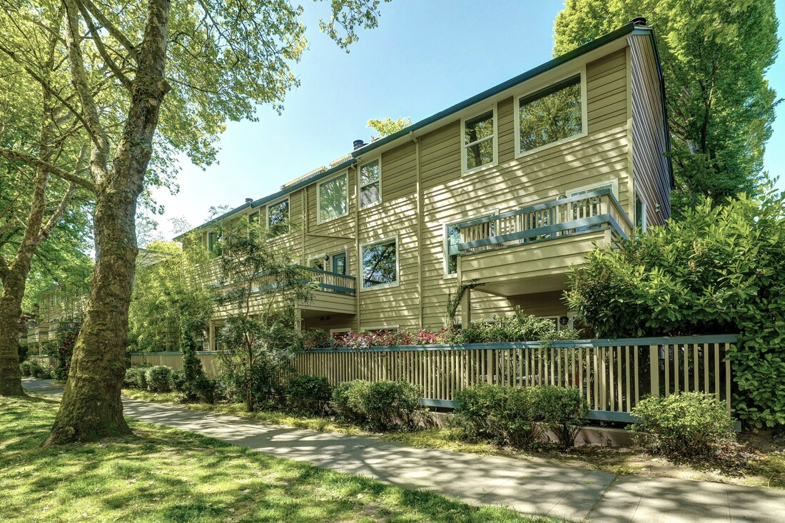 Huge front yard and blue 1-story home with treed background